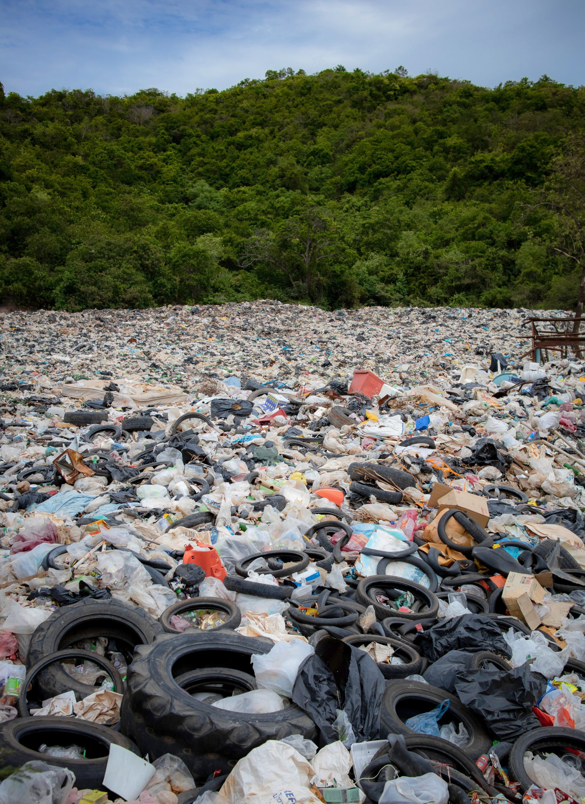 an enormous pile of plastic waste before a forest of trees