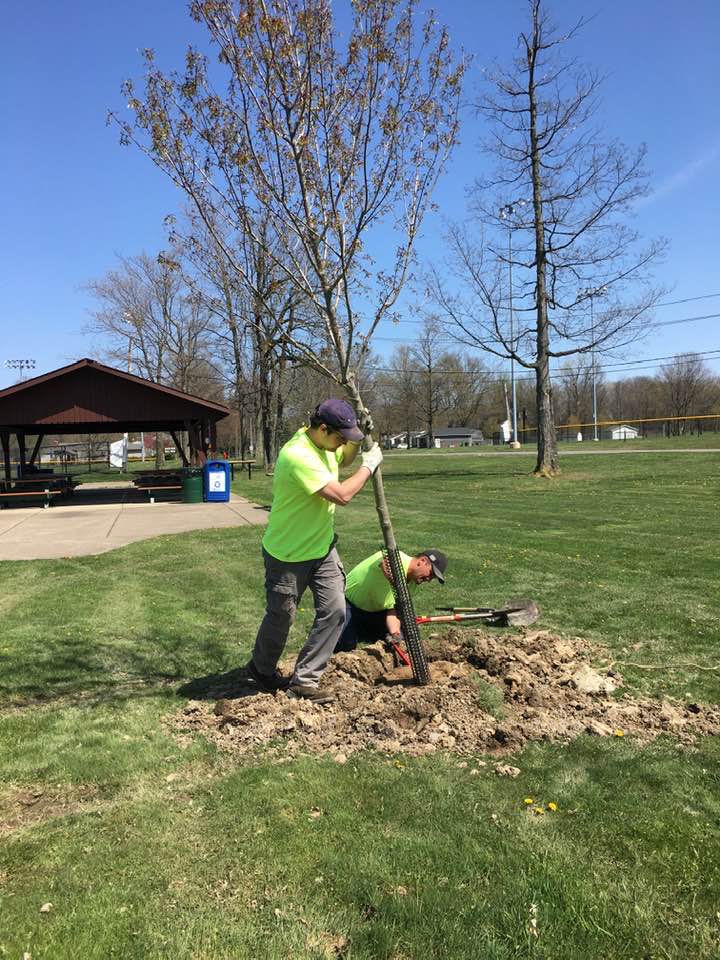 2 people planting a tree in a community park