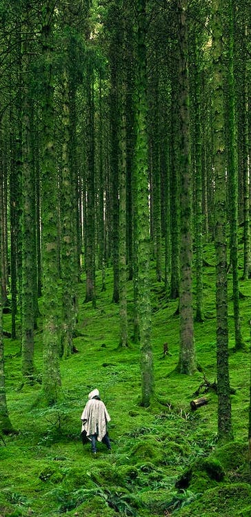 A small figure in a green forest.